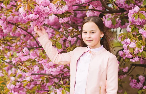 Sevimli çocuk bahar gününde doğanın tadını çıkarın. Aromatik çiçek konsepti. Sakura'nın yanında poz veren kız turist. İhale çiçeklenme. Sakura ağacı arka plan pembe çiçekler üzerinde Çocuk. Kız kiraz çiçeği veya sakura zevk — Stok fotoğraf