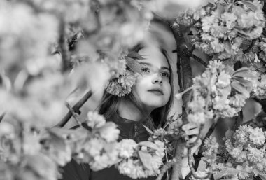 Polen alerjisi kavramı. Çocuk kiraz çiçeği sakura tadını çıkarın. Pembe çiçekler sakura ağaç arka plan üzerinde Çocuk. Çocuk alerjisi olmadan hayatın tadını çıkarın. Alerji ilacı. Çiçek koklamak. Çiçek aroması zevk Kız