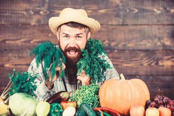 Hombre agricultor barbudo madura mantenga verduras fondo de madera. Sombrero de paja de granjero con cosecha fresca. Concepto de cosecha propia. El típico granjero. Festival de cosecha del mercado agrícola. Vender verduras —  Fotos de Stock