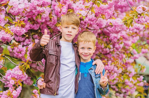 Frohe Frühlingsferien. Kinder genießen den warmen Frühling. Jungen posieren in der Nähe von Sakura. Kinder Frühling rosa Blumen von Sakura-Baum Hintergrund. Botanik-Konzept. Brüder, die Kirschblüte genießen. Bruderschaftskonzept — Stockfoto