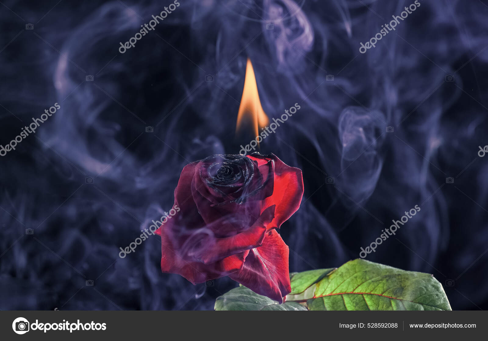 trobbio\, image size:1600x1119