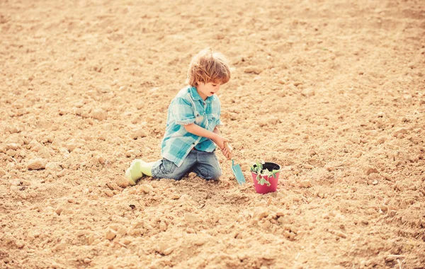 Ώρα για διασκέδαση στη φάρμα. Κηπουρική ιδέα. Παιδί που διασκεδάζει με μικρό φτυάρι και φυτό στο χόρτο. Φυτεύω στο χωράφι. Φυτεύω σπορόφυτα. Ο μικρός βοηθός στον κήπο. Αγόρι κάθονται στο έδαφος Φύτεμα λουλουδιών στο χωράφι — Φωτογραφία Αρχείου