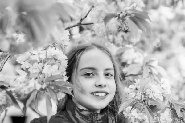 Letní prázdniny. Dětská krása. na potřebou. Přírodní kosmetika pro kůži. malá holčička v jarním květu. vůně, alergie. šťastná dívka v třešňově květině. Kvetoucí strom Sakura. Hello léto — Stock fotografie