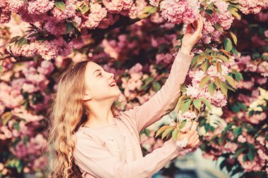 Sakura çiçek konsepti. Muhteşem çiçek güzelliği. Kız kiraz çiçek arka plan. Mutlu bahar tatilleri. Park ve bahçe. Bahar çiçek açan kız küçük çocuk. İhale çiçek güneşli gün kokusu keyfini çıkarın