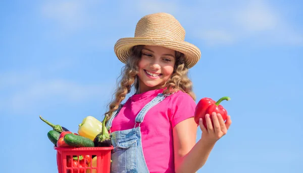 Çok lezzetli. Sepette küçük bir sebze kız. Çok doğal. hasat vitamini. Bahar pazarı bahçesi. Çocuklar için sağlıklı yiyecekler. Mutlu küçük çiftçi. Sonbahar hasadı. Çocuk yaz çiftliğinde. Organik yiyecekler — Stok fotoğraf