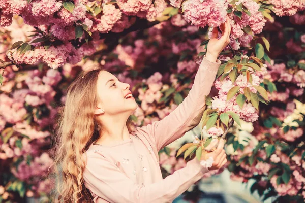 Sakura concept de fleur. Magnifique beauté des fleurs. Fille fond de fleur de cerisier. Joyeuses vacances de printemps. Parc et jardin. Fille petit enfant au printemps fleur fleurir. Profitez de l'odeur de tendre journée ensoleillée floraison — Photo