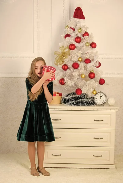 Ragazzina vicino all'albero di Natale tenere scatola regalo. Il bambino festeggia il Natale a casa. Il giorno dell'anno preferito. E 'ora di aprire i regali di Natale. Apertura regali di Natale. I sogni si avverano. Meglio per i nostri bambini — Foto Stock