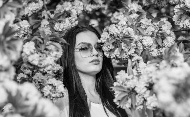 Kadınlar günü konsepti. Seksi kız sakura çiçeğinin tadını çıkarıyor. Kiraz çiçekli kadın. Bahar çiçeği arka planı. Güzel bir kadın, kiraz çiçeklerinin tadını çıkarıyor. Çiçekli güzel Bahar Esmer Kızı