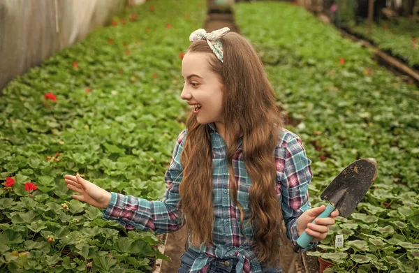 Överraskad glad tonåring flicka florist vård kruka växter i växthus, trädgårdsmästare — Stockfoto