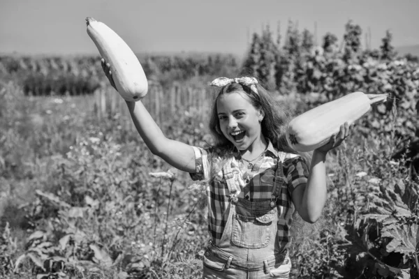 Niña pequeña agricultora orgullosa con la cosecha, comida saludable —  Fotos de Stock