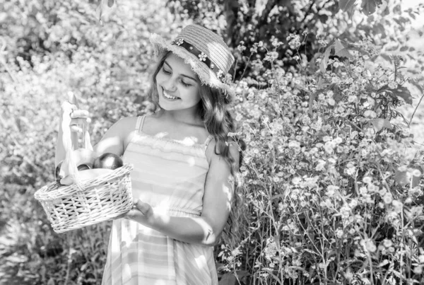 夏のスタイルでファッションルックを持つ幸せな小さな女の子は、田舎の自然の日当たりの良い風景の上に収穫フルーツバスケットを保持し、収穫 — ストック写真