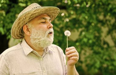 Huzur dolu. Huzur ve sükunet. Ruhun ahengi. Hasır şapkalı yaşlı bir adam. Mutlu ve kaygısız emeklilik. Yalnız dede parkta karahindiba tohumu saçıyor. Akıl sağlığı. İç huzuru