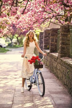 Bahar tatili. Retro kadın lale çiçeği buketi satıyor. Klasik bisikletli, Sakura 'nın altında bir kız. bahar güzelliği ve moda. kiraz ağacı pembe çiçek. Mükemmel koku. Parfüm kaplıcası ve alerjisi