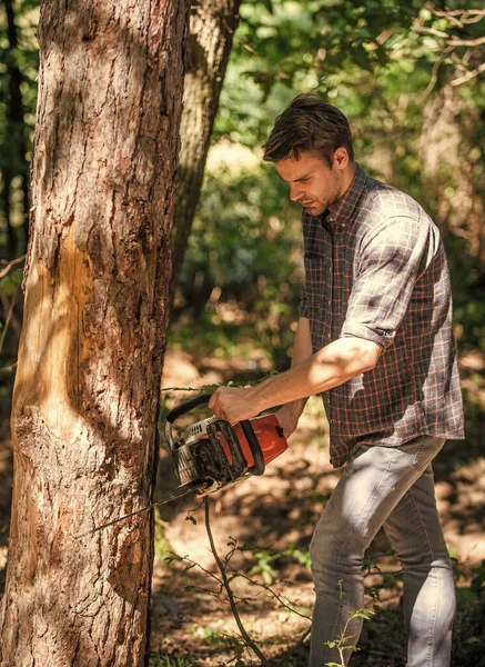 Vida verde. procurar lenha para fogueira de piquenique. Sobrevivendo na natureza selvagem. humano e natureza. homem caminhando em madeira. caçador furtivo na floresta. Desflorestação. Ranger ou caçador furtivo. homem forester uso serra para cortar árvore — Fotografia de Stock