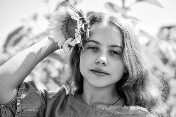 Schönheit der sommerlichen Natur. kleines Mädchen im Sonnenblumenfeld. gelbe Blume der Sonnenblume. glückliche Kindheit. schönes Mädchen mit langen Haaren im Feld. hübsches Kind mit Blume. Kleine Pflanze — Stockfoto