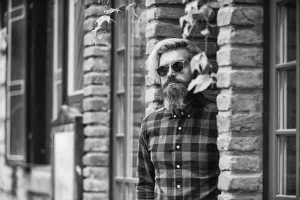 Cool guy. Bearded man checkered shirt. Hipster dyed hair and beard. Hairdresser and barbershop. Brutal male with blond hair irish architecture background. Man casual fashion. Hipster in sunglasses — Stock Photo, Image