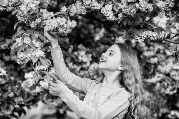 Girl cherry flower background. Happy spring vacation. Park and garden. Girl little child in spring flower bloom. Enjoy smell of tender bloom sunny day. Sakura flower concept. Gorgeous flower beauty — Stock Photo, Image