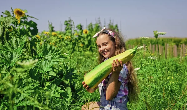 Κοριτσάκι κηπουρική συγκομιδή μεγάλο μυελό των λαχανικών, υπερήφανος κηπουρός — Φωτογραφία Αρχείου