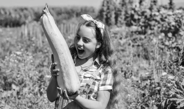 Happy childhood. retro beautiful girl showing zucchini. pretty kid on farm. beauty of summer nature. little girl on farming garden with squash. growing vegetable marrow — Stock Photo, Image