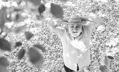 Mutlu gülümseyen son sınıf öğrencisi yukarı bakıyor. Yaşlı adam pozitif ve iyimser. Keyfin yerinde. Olumlu duygular. Mutlu yaşlılıklar. Neşeli emekliler. Akıl sağlığı. Sakura ağacının altında yukarı bakan mutlu bir adam.