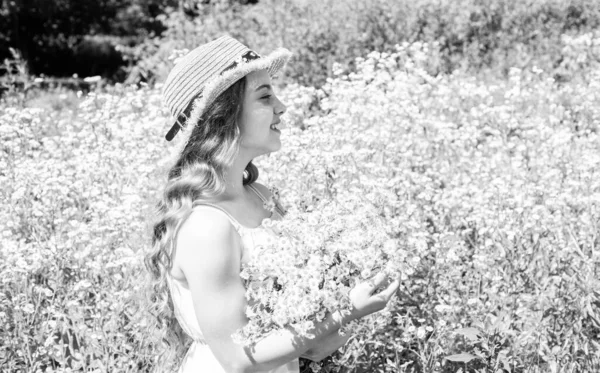 Ernten Sie frische Kräuter. Kleines Mädchen sammelt Kamillenblüten im Feld, Pollenallergie — Stockfoto