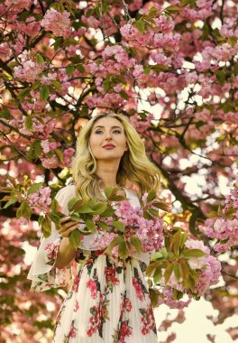 Mutlu bir anı yakalıyorum. Parkta bahar doğası çiçek açar. Retro kadın sakura çiçeği kokusu alıyor. Kaplıca ve güzellik tedavisi. yumuşak cilt bakımı. Kiraz ağacı bahçesinde sağlıklı bir kız. Klasik yaz modası.