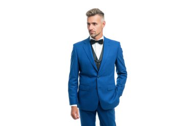 grizzled man in bow tie blue suit. businessman isolated on white. gentleman in formal wear