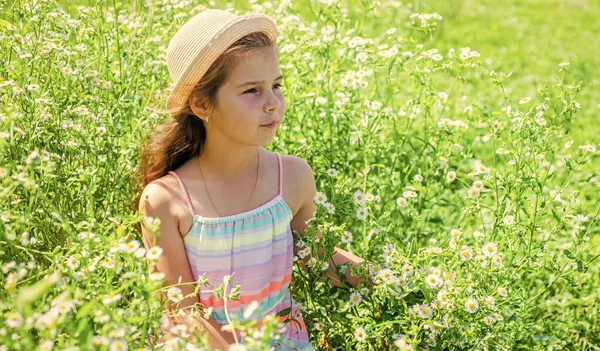 美しい外観の小さな子供は、晴れた夏の風景のカモミールの花のフィールドでリラックスした太陽の帽子を着用し、子供の日 — ストック写真