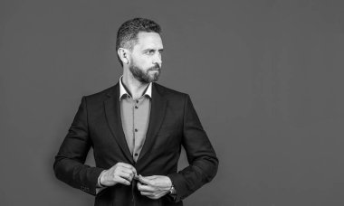 Resmi takım elbiseli yakışıklı kendine güvenen CEO, kopyalama alanı, başarı