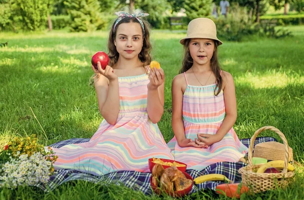 Маленькі сестри мають літній пікнік зі здоровою їжею, концепція дружби — стокове фото