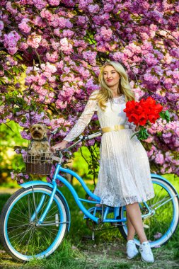 Kalbimde bahar var. Bahar zamanı çiçek açan ağaç. Doğal kadın güzelliği. Bahçedeki kadın. Kiraz çiçeklerinin yanında retro motorsikletli genç, modaya uygun bir kız. Pembe Sakura sokağında klasik bisikletli bir kız.