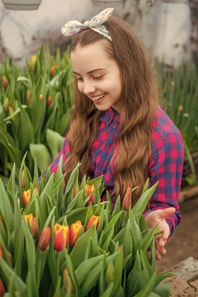 Tulpanrabatten. Trädgårdsarbete för barn. glad tonåring flicka florist i växthus. — Stockfoto