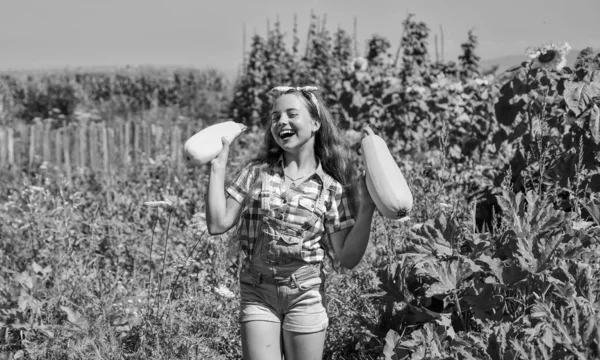 Girl child small farmer proud with harvest, homegrown is best — Stock Photo, Image