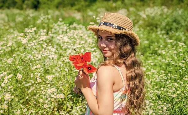 Kislány gyermek szépsége megjelenés viselni napsapka hosszú göndör szőke haj gazdaság mák virágok természetes napos nyári táj, hajápolás — Stock Fotó
