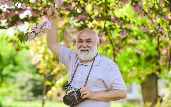 Capturando momentos que cativam seu coração. Fotografa a filmar. Moldura perfeita. Passatempo da pensão. Fotógrafo de homem sênior florescendo árvores fundo. Reforma do operador de câmara. Fotógrafo profissional — Fotografia de Stock