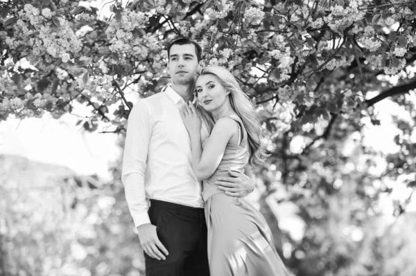 Felicidad de verano. recién casados en la floreciente sakura rosa. moda y belleza de la boda de primavera. concepto de unión. temporada romántica. Amor y amistad. pareja de amantes bajo el árbol de amor día de San Valentín — Foto de Stock