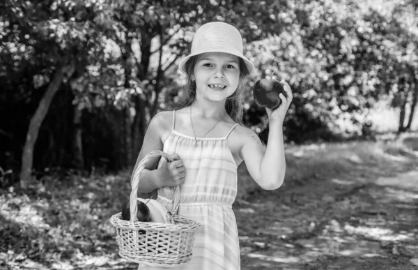 Blijf gezond. Meisje in de tuin houden appel en mand geoogst fruit — Stockfoto