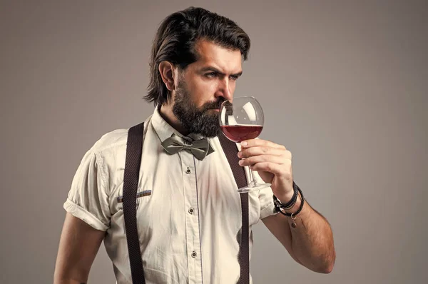 Elegant brutal man in formal wear has groomed hair drinking wine, sommellier — Stock Photo, Image