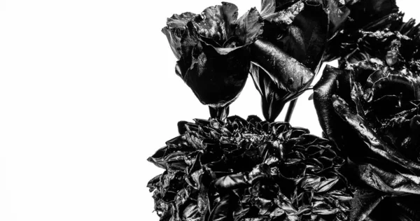 Bouquet noir de fleurs naturelles brûlées isolé sur l'espace de copie blanche, roses — Photo