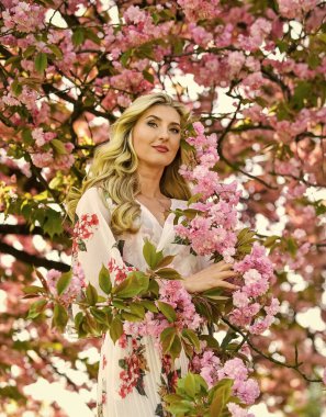 Uyum ve kadın enerjisi. Bahar çiçeği açan ağaç. Bahar sembolü Kız bahçedeki sakuranın tadını çıkarıyor. Çiçeklerin kadınları neden her zaman mutlu ettiğini. Mutlu bahar günleri. Kiraz ağacı. İyi titreşimler. Çiçek aroması