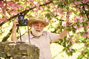Bahar tarzı. Çiçek fotoğrafçılığında sakura. Yaşlı sakallı adam pembe çiçeklerin fotoğrafını çekiyor. Profesyonel fotoğrafçı tasarımcısı. Mutlu emeklilik. Erkek turist kamerayla kiraz çiçeklerinin fotoğrafını çeker.