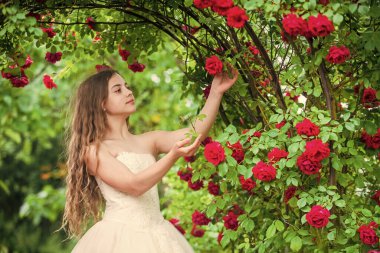 Önemli bir olay. düğün meleği çocuk. Çocuk parkta gül çiçeğinin tadını çıkarıyor. Bahar çiçeği ağacı. Yaz doğası. Kadın kuaför tarzı. Uzun kıvırcık saçlı küçük bir kız. Beyaz elbiseli küçük güzellik.