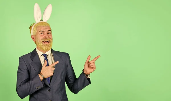 Üdvözletem. Jól érzem magam. Vicces főnök. Húsvéti tevékenységek. Szakállas férfi nyuszifül a fejen. Az üzletember nyuszi jelmezt visel. Húsvét nyuszi szimbólum. Tavaszi ünnepek — Stock Fotó