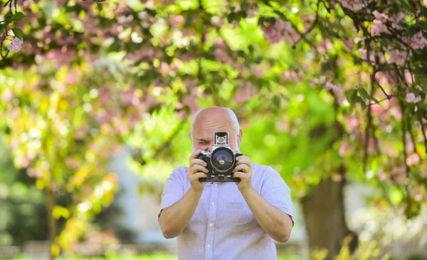 Photographer taking photos of famous cherry blossoms. spring season with full bloom pink flower. photographer man take sakura cheery blossom photo. Cherry blossoming garden. Spring in my head — Stock Photo, Image