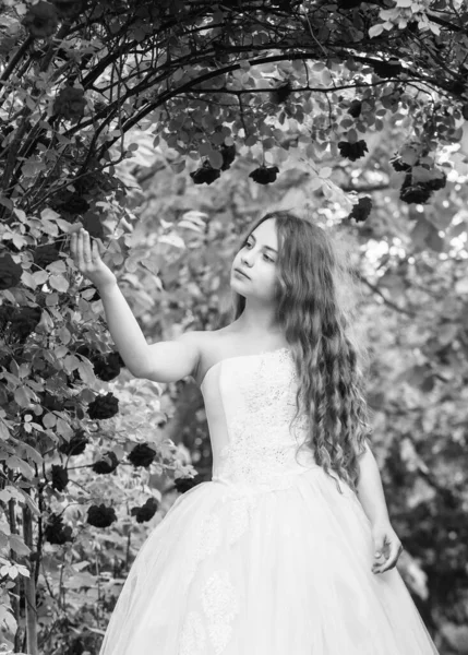 Linda dama de honra menina elegante vestido branco rosas jardim, conceito de coleção de verão — Fotografia de Stock