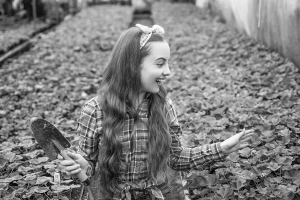 Sorprendido muchacha adolescente feliz floristería cuidado maceta plantas en invernadero, jardinero —  Fotos de Stock