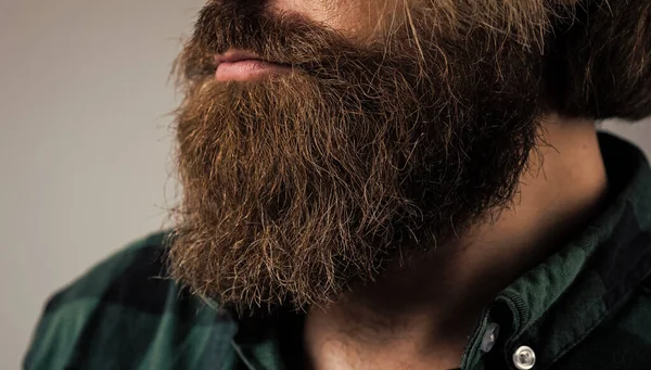 Пышная ухоженная борода жестокого бородатого мужчины, уход за волосами — стоковое фото
