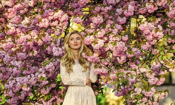 Voorjaarsvakantie. echte vrouwelijke schoonheid. zomerweer en natuur. vrouw met lang haar in het park. roze kersenboom bloesem. mooie vrouw in jurk. meisje met bloeiende sakura boom. lente mode stijl — Stockfoto