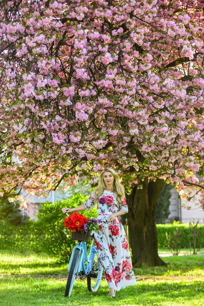 Kwitnące drzewo sakura. letnia moda i piękno. Pani spaceruje po parku. różowy kwiat wiśni. dziewczyna niesie kwiaty w rowerze retro. wiosna ładna kobieta w sukience. Dziewczyna z klasycznym rowerem. Wiosna w garnku — Zdjęcie stockowe
