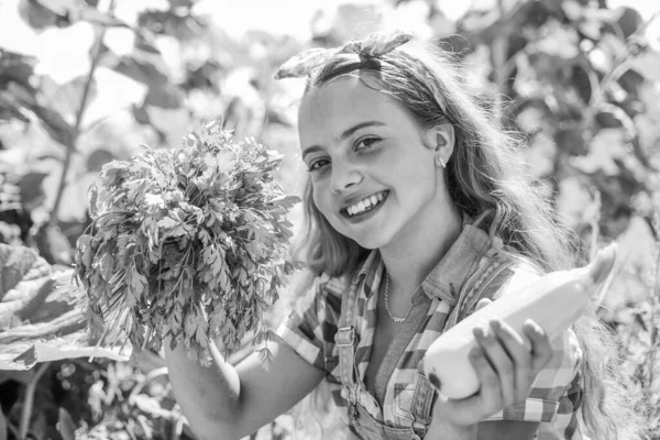 Счастливая девушка садовница выращивает свежие продукты только с фермы — стоковое фото